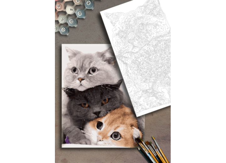 Котики АМ-0040