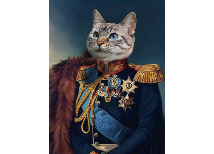 Французький генерал з хутром
